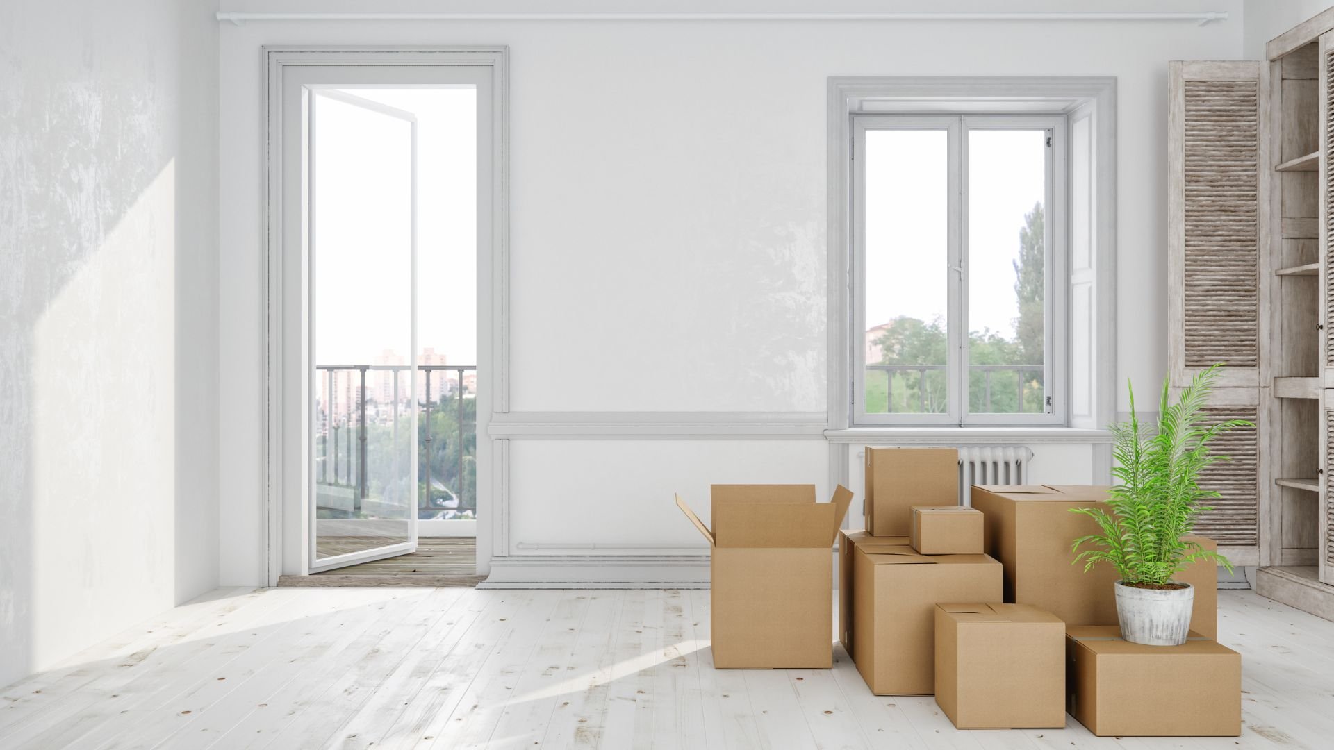 Moving boxes in empty white room with large windows and potted plant